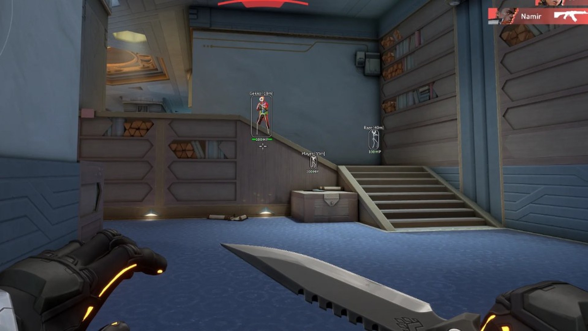 Valorant bone ESP and bounding boxes revealing enemies behind geometry